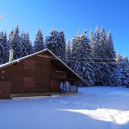 Casa De Vacanta Dintre Brazi Topliţa Екстериор снимка