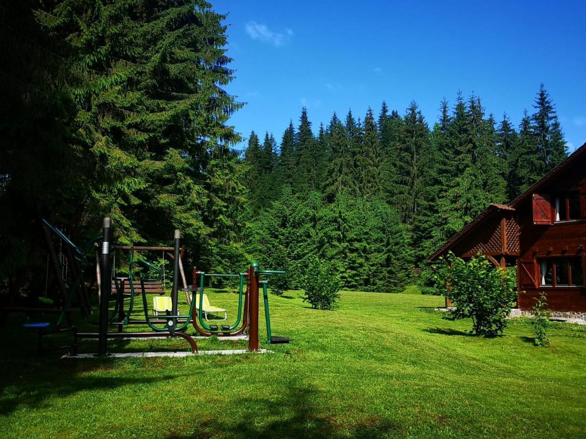 Casa De Vacanta Dintre Brazi Topliţa Екстериор снимка