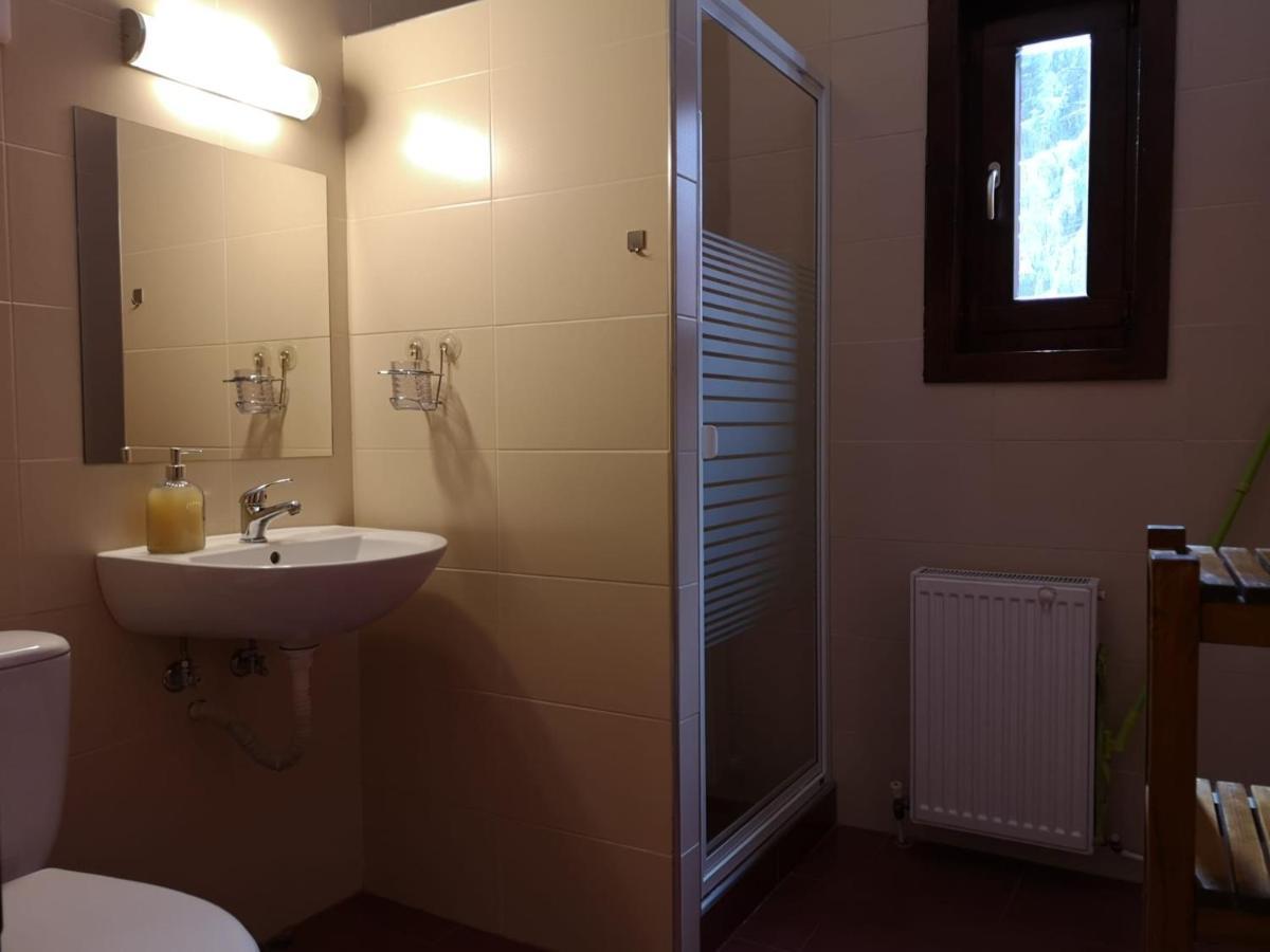 Casa De Vacanta Dintre Brazi Topliţa Екстериор снимка