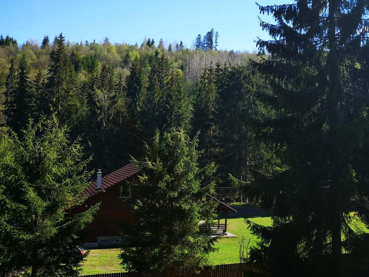 Casa De Vacanta Dintre Brazi Topliţa Екстериор снимка