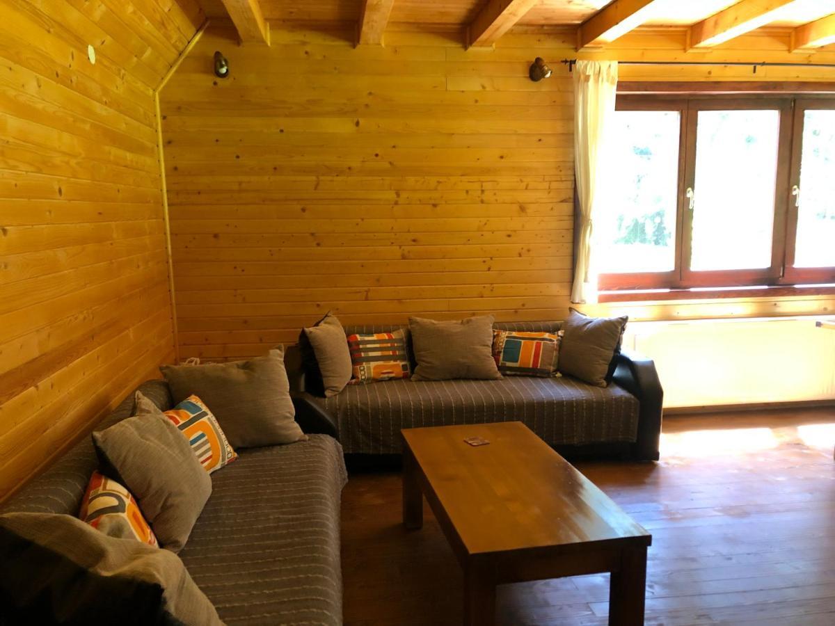 Casa De Vacanta Dintre Brazi Topliţa Екстериор снимка